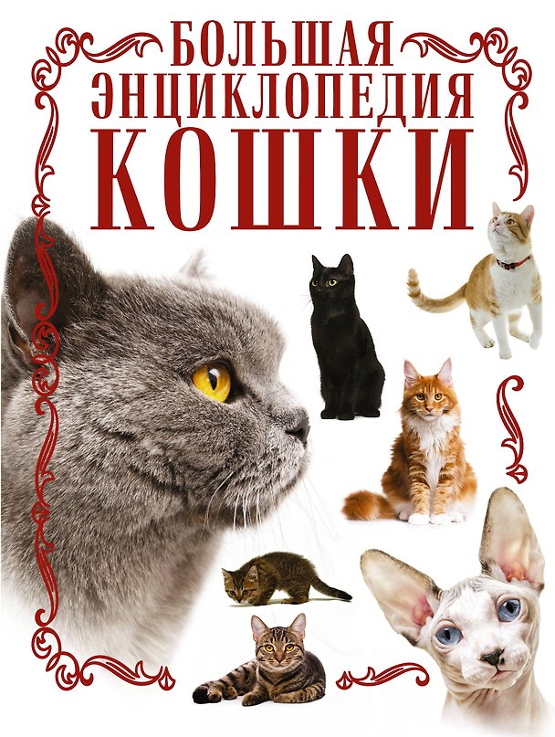 Книга Кошки. Большая энциклопедия (Дмитрий Смирнов) — 1