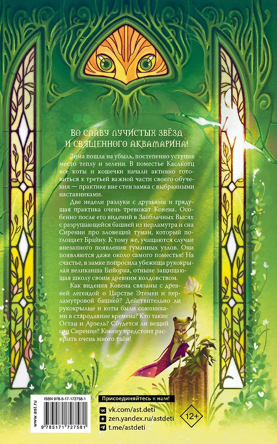 Книга Поместье Каслкотц. Время туманов (Ален Т. Пюиссегюр) — 2