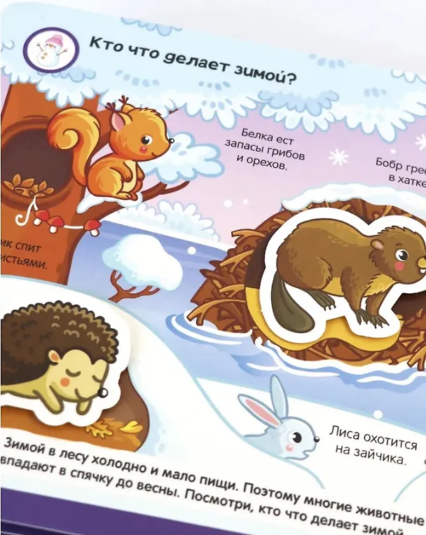 Книга Липучки. Зверята в лесу () — 7