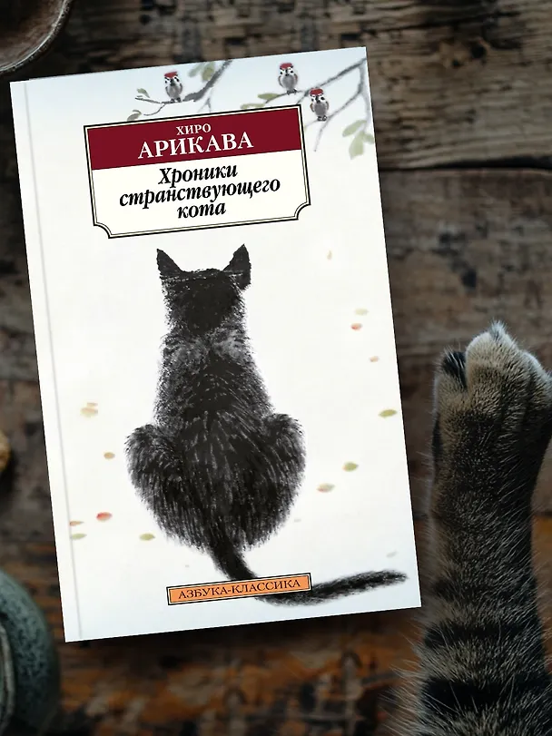 Книга Хроники странствующего кота (Хиро Арикава) — 11