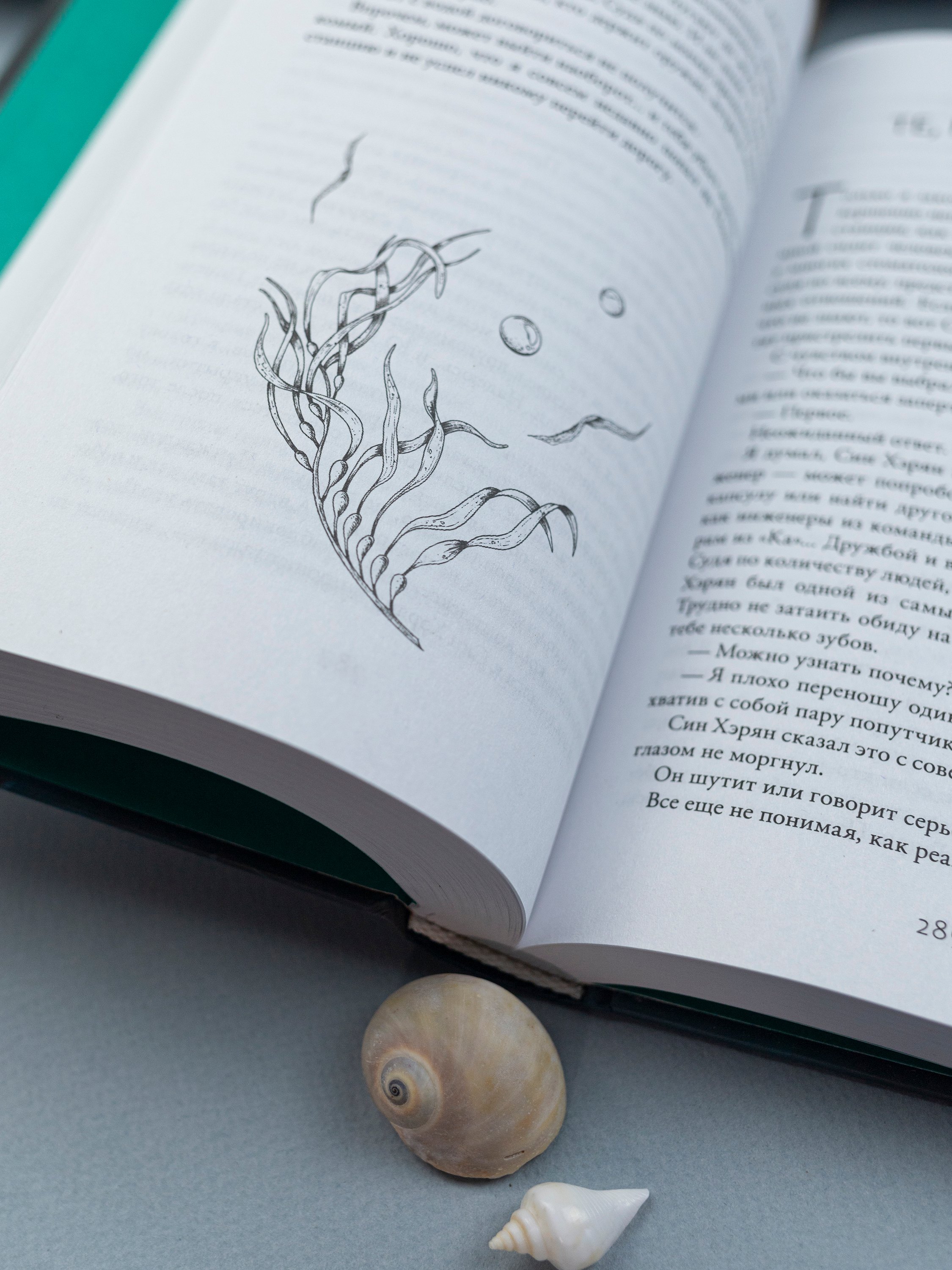 Изображение бумажной книги