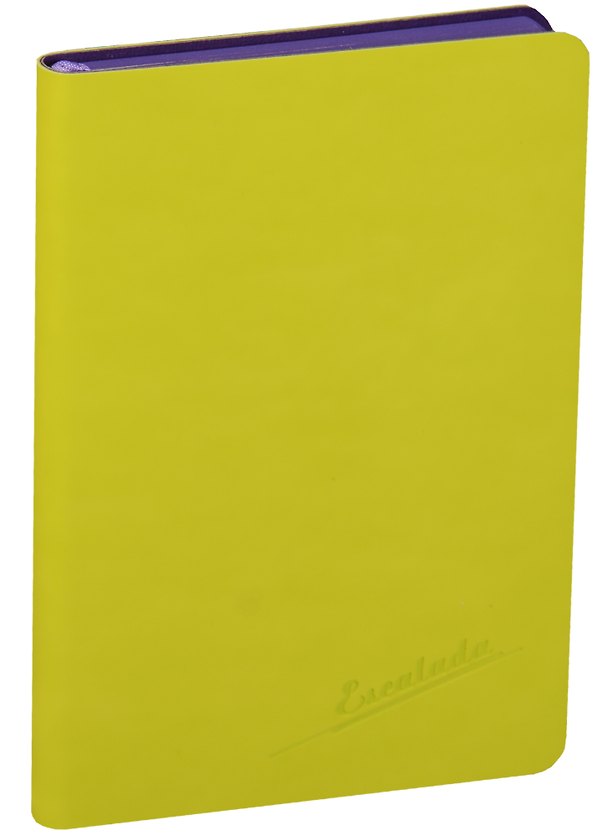 Записная книжка "СОФТ-ТАЧ" 244758 — 1