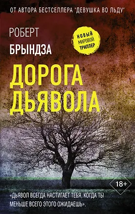 Книга Дорога дьявола (Роберт Брындза)