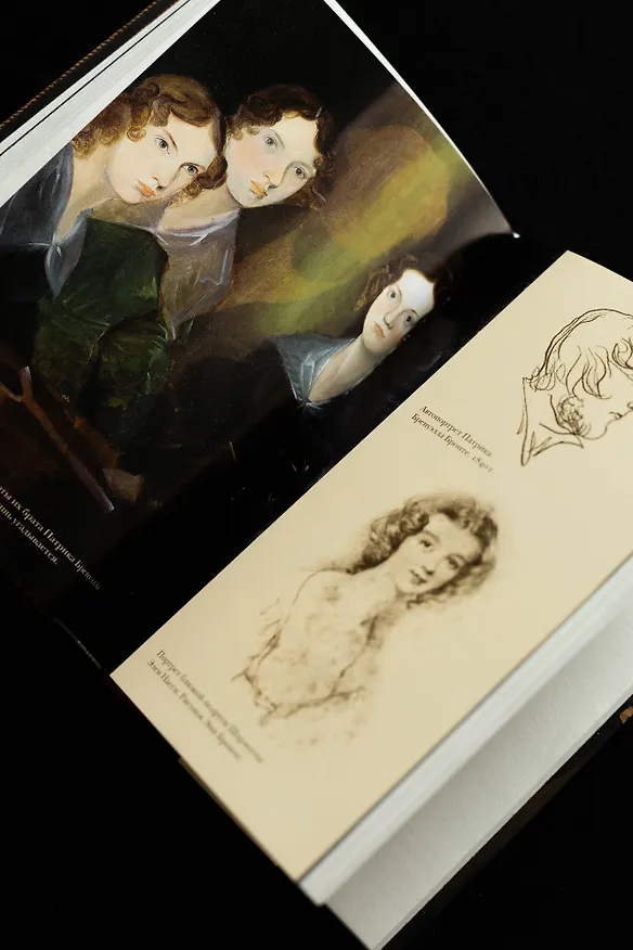 Книга Шарлотта Бронте делает выбор. Викторианская любовь (Нина Агишева) — 9