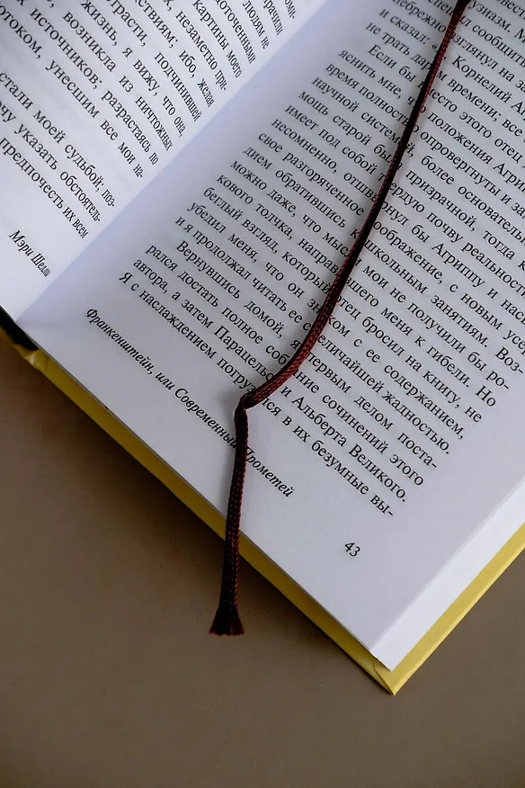 Книга Франкенштейн, или Современный Прометей (Мэри Шелли) — 7