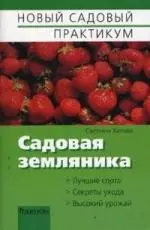 Садовая земляника — 2155181 — 1