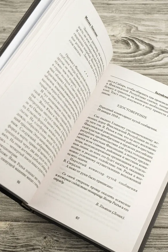 Книга Балтийский фактор (Михаил Николаев) — 8
