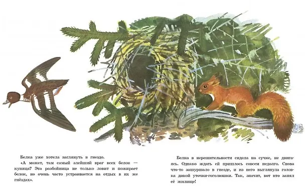 Книга Белочка-хлопотунья (Георгий Скребицкий) — 3
