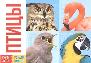 Обучающая книга «Птицы»