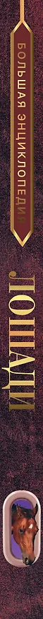 Книга Большая энциклопедия. Лошади (Анна Спектор) — 3