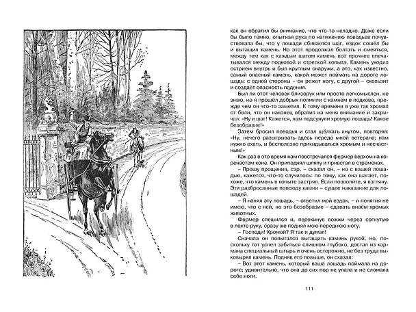 Книга Чёрный Красавчик (Анна Сьюэлл) — 10