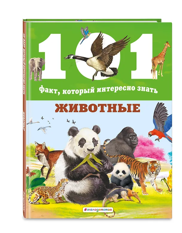 Книга Животные (Нико Домингес) — 4