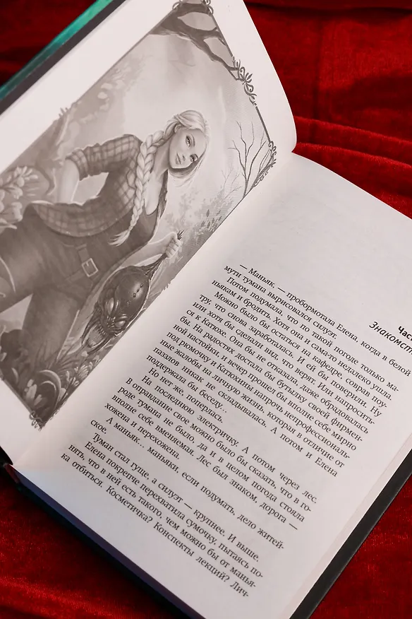Книга Некроманты и все-все-все (Карина Демина) — 14