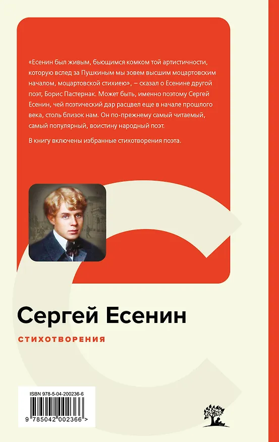 Книга Стихотворения (Сергей Есенин) — 2