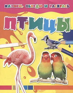 Книга Назови, обведи и раскрась. Птицы ()