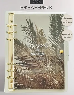 Ежедневник датированный 2026 год, А5, 160 листов, 180x230 мм "Breeze. Пальма", кольцевой механизм 3116419