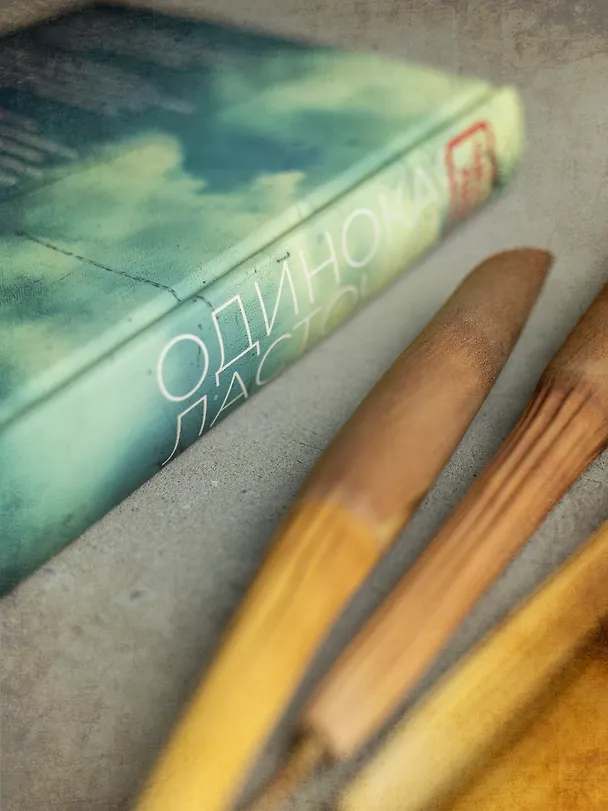 Книга Одинокая ласточка (Чжан Лин) — 7