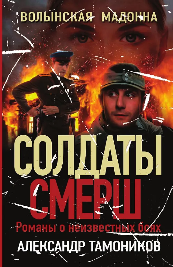 Книга Волынская мадонна (Александр Тамоников) — 1
