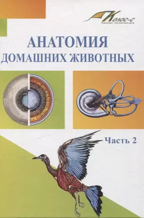 Анатомия домашних животных. Часть 2 — 3068843 — 1