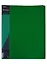 Папка 40ф А4 "STANDARD" пластик 0,6мм, зеленая — 2969751 — 1