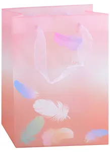 Пакет А5 25*19*8,5 "Перышки" жен., пластик