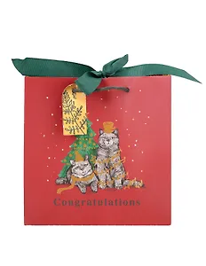 Пакет А5 20*20*8 "Два кота. Congratulations" НГ, бум.мат.ламинат