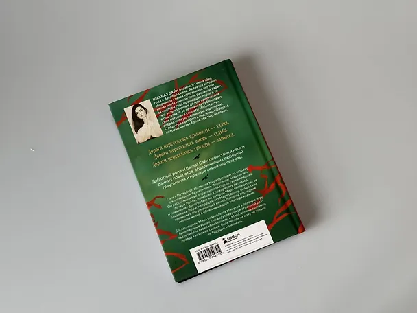 Книга Предначертанная. Часть первая. Роман (Шахназ Сайн) — 17