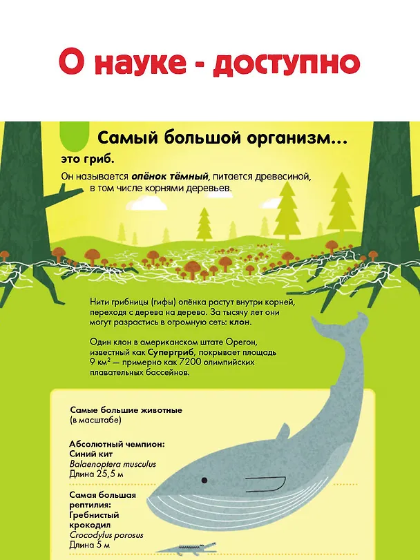 Книга Наука. 100 вопросов и ответов (Алекс Фрит, Минна Лэйси, Джонатан Мелмот) — 7
