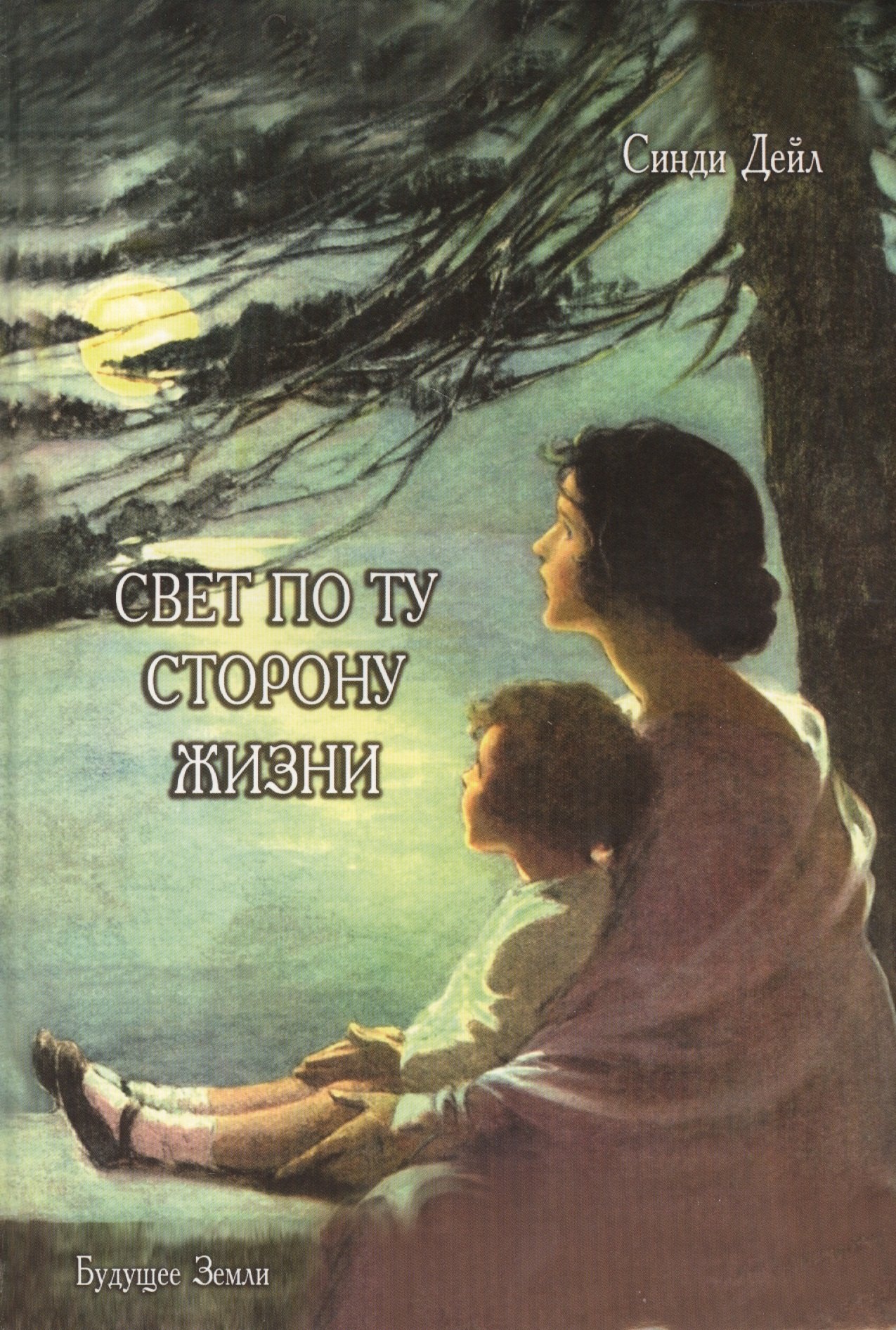 

Свет по ту сторону жизни: Постижение мудрости Планов Света.