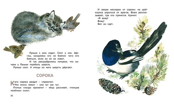 Книга Друзья (Евгений Чарушин) — 6