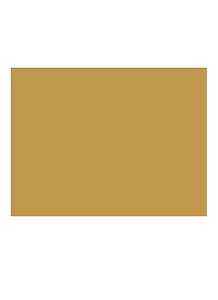 Бумага для пастели 50*65 "Mi-Teintes" 160г/м2 №400 канареечный, Canson