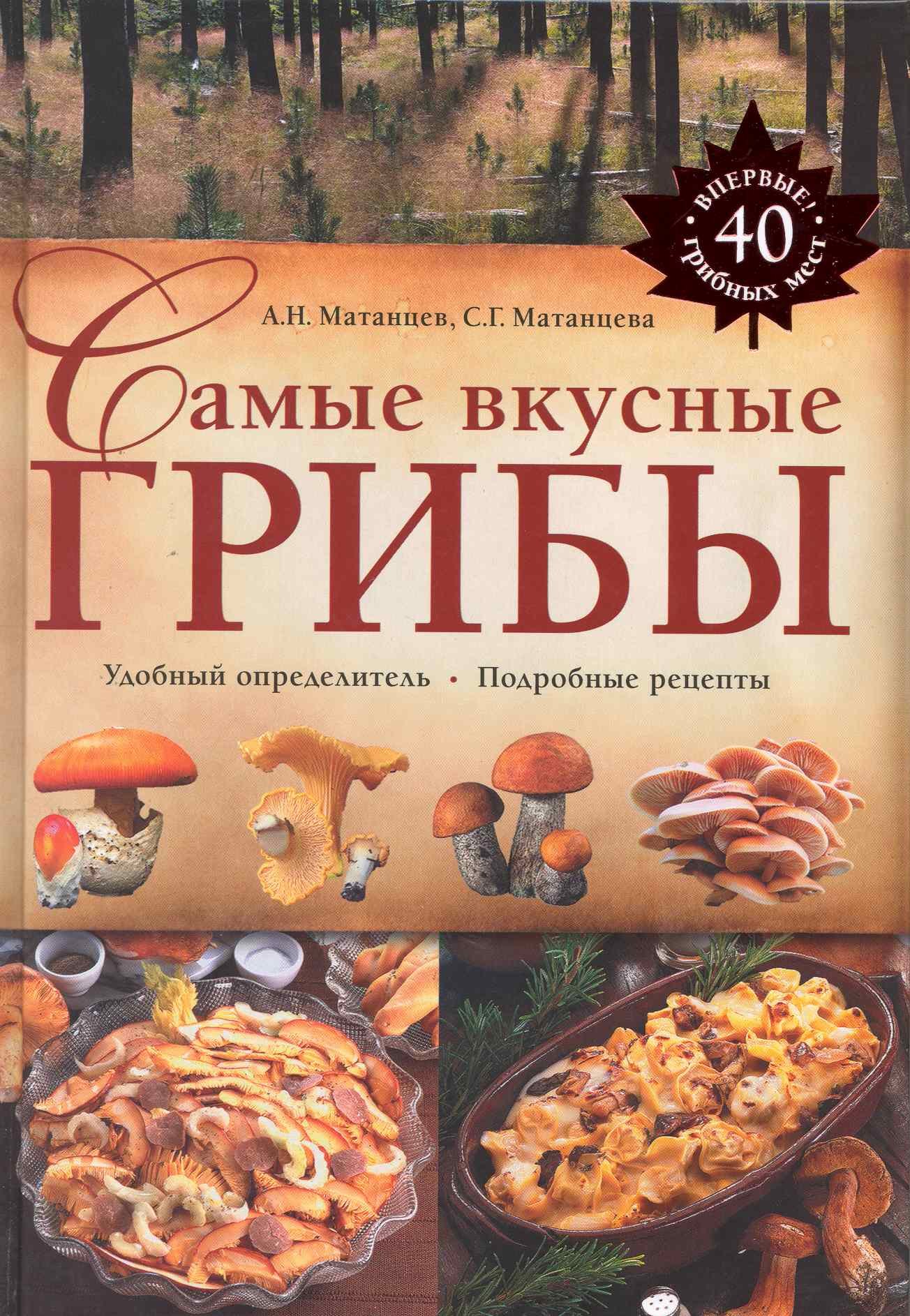 

Самые вкусные грибы