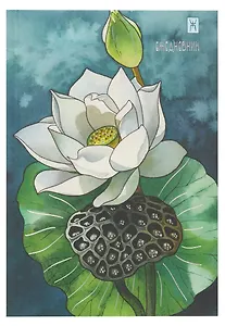 Ежедневник недат. А5- 128л "Белый лотос" 7БЦ, обл.поролон, тисн.фольгой, ламинация Soft Touch,  офсет