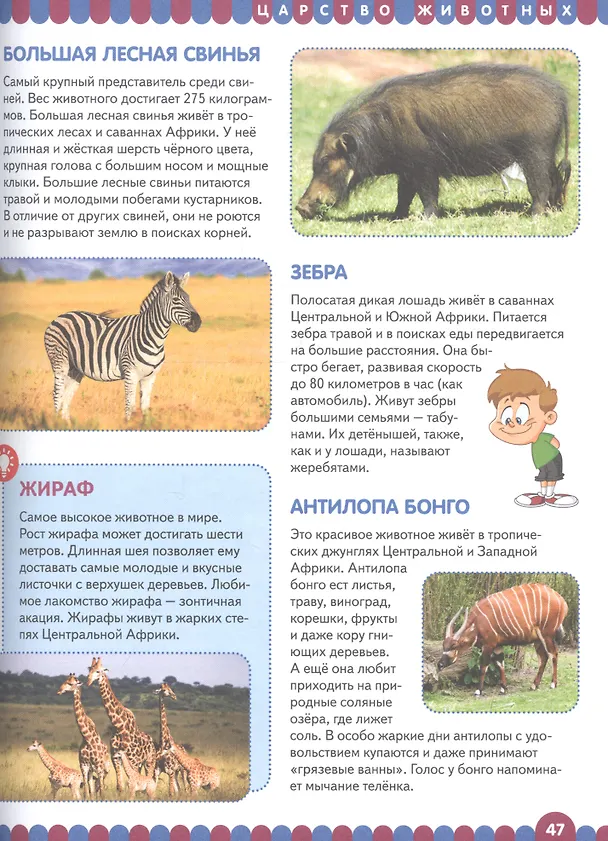 Книга Детская энциклопедия для умных девочек и мальчиков () — 6