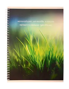 Тетрадь А4 80л лин. "Моменты жизни" мел.картон, выб.лак, евроспираль, офсет