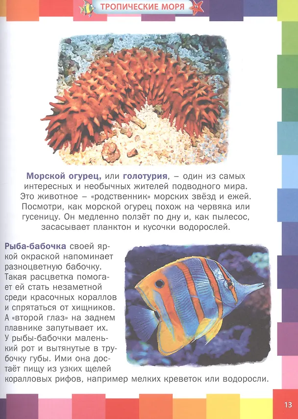 Книга Животные морей и океанов. Энциклопедия для самых маленьких (Анна Забирова) — 3