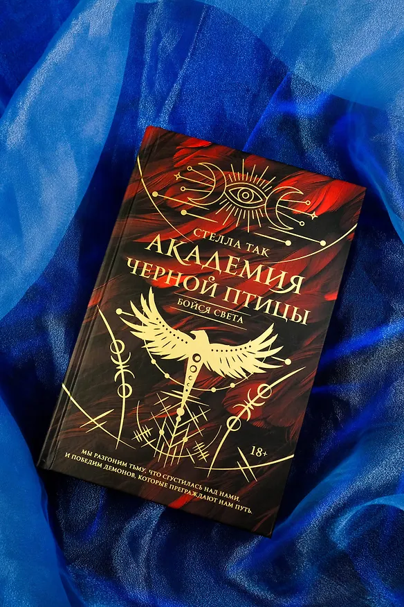 Книга Академия Черной птицы. Бойся света (Стелла Алиссия Так) — 5