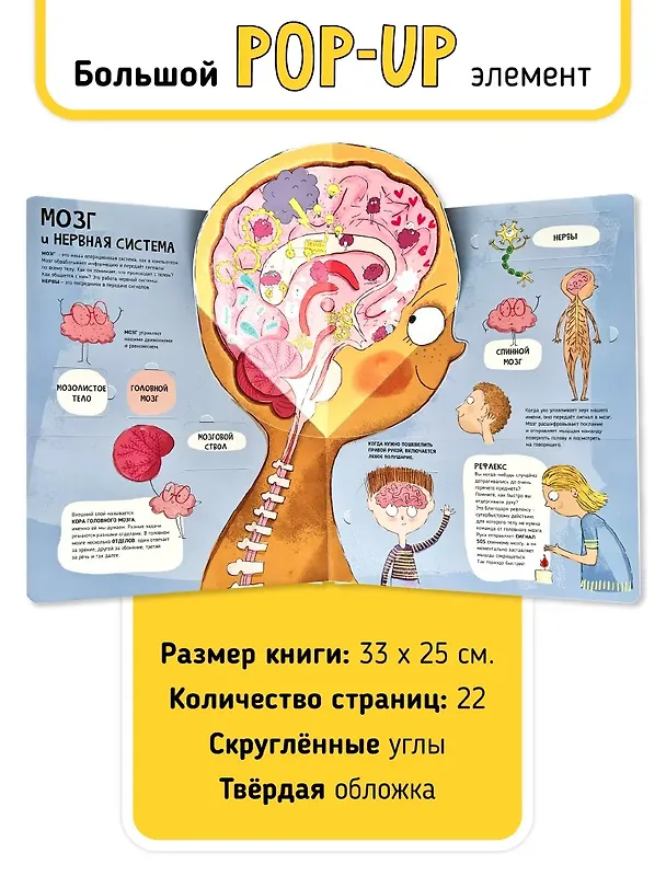 Книга Мои первые открытия «Тело человека» (Аня де Ломберт) — 6
