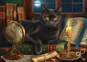 Алмазная мозаика ТМ Рыжий кот (класс.) 30х40 см, на картоне с част. заполн. (20 цветов).Черный кот на столе ACA009 367263