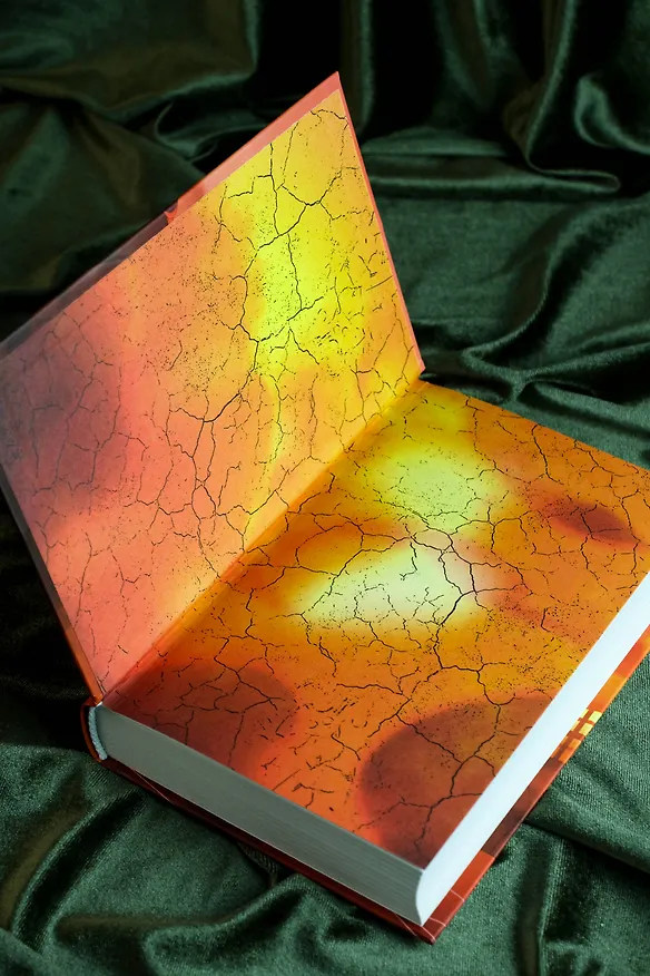 Книга Сквозь огненную стену (Саймон Пайнс) — 11