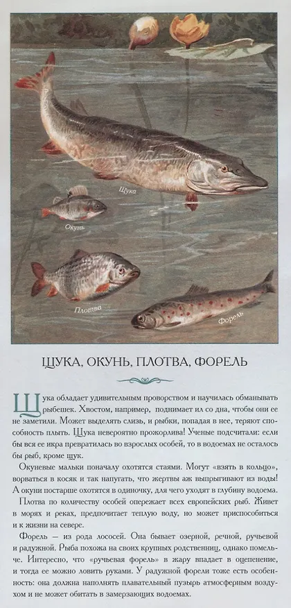 Книга Животные нашей планеты «Обитатели водоемов. Рассказы тех, кто молчит» () — 2