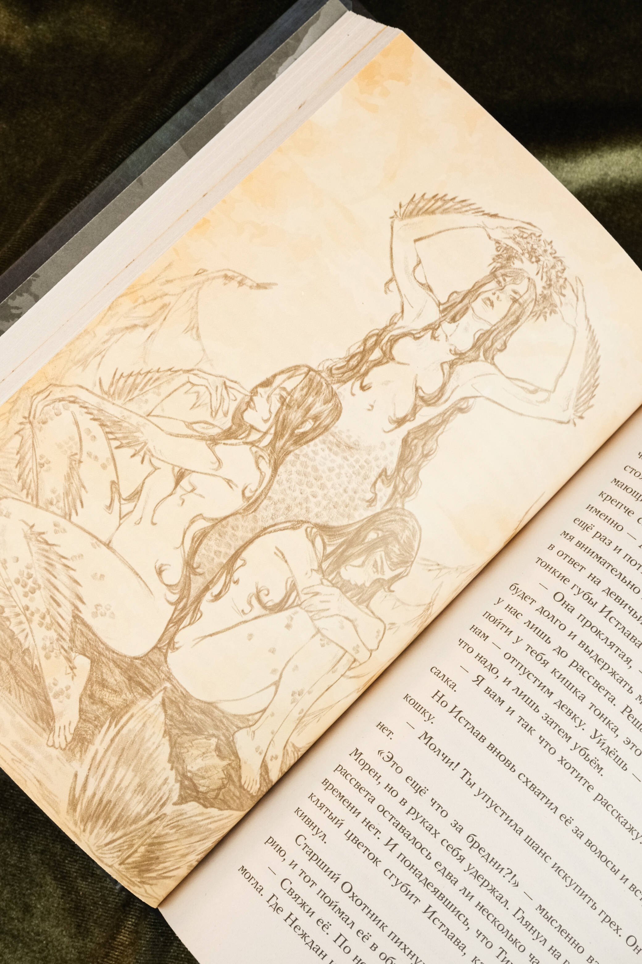 Изображение бумажной книги