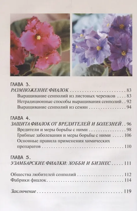 Книга Узамбарские фиалки (тв.) (Надежда Ширяева) — 3