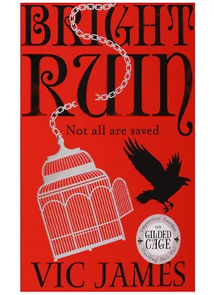 Книга Bright Ruin ()