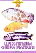 

Цихлиды озера Малави