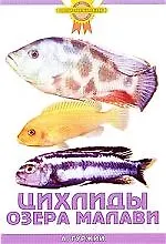 Цихлиды озера Малави