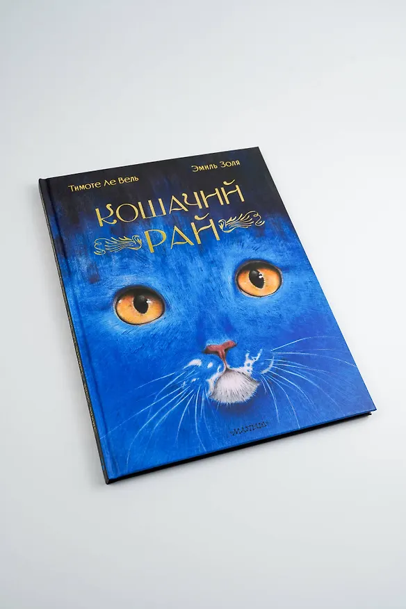 Книга Кошачий рай (Эмиль Золя) — 12
