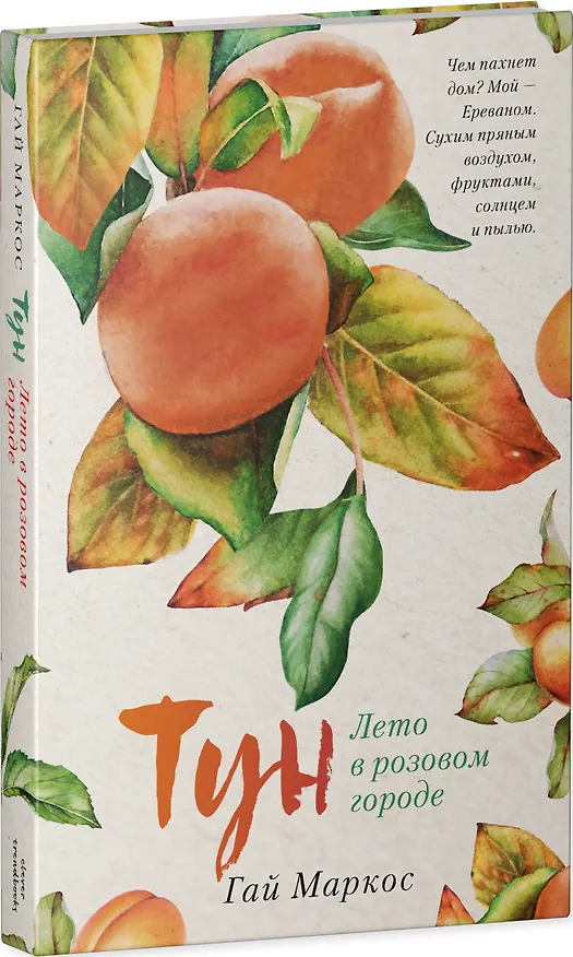 Книга Тун. Лето в розовом городе (Гай Маркос) — 3