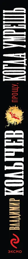 Книга Прощу, когда умрешь : роман (Владимир Колычев) — 3