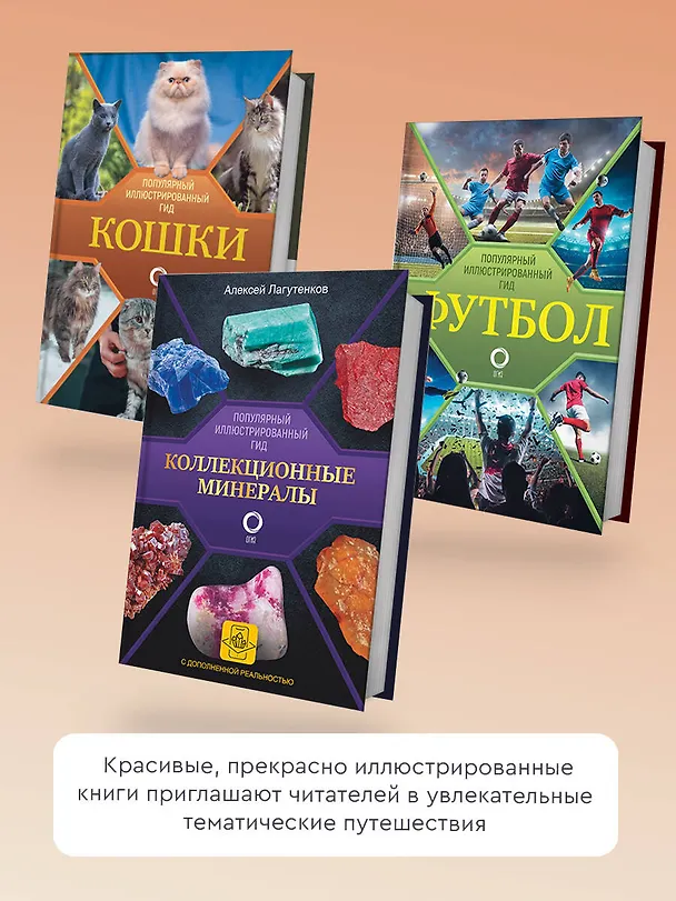 Книга Шедевры живописи Возрождения. Иллюстрированный гид (Анастасия Чудова) — 7